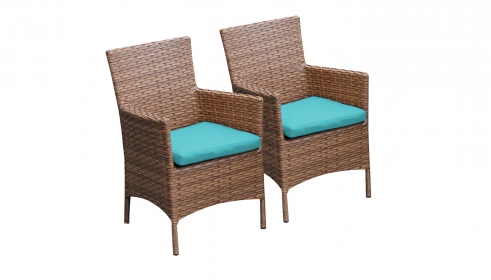2 Laguna Dining Chairs With Arms - TK Classics
