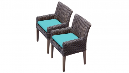 2 Venice Dining Chairs With Arms - TK Classics