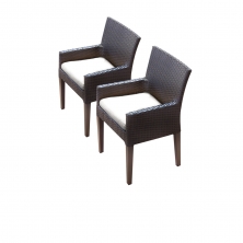 2 Napa Dining Chairs With Arms - TK Classics